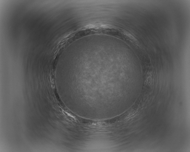 X0000056340966200508291311