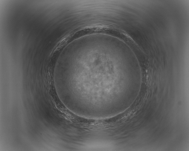 X0000056340967200508291311