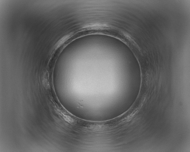 X0000056340970200508291311