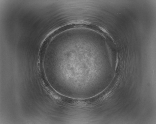 X0000056340971200508291311