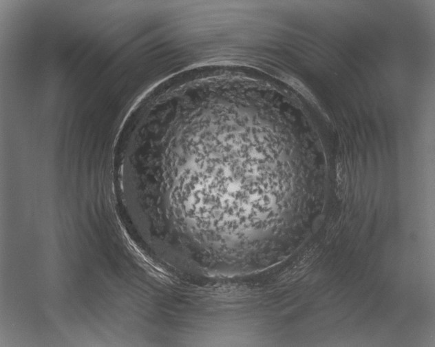 X0000056340972200508291311