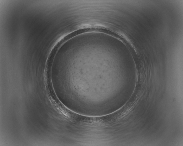 X0000056340975200508291311