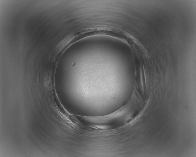 X0000056340977200508291311