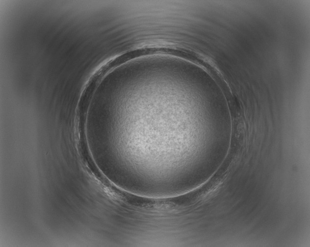 X0000056340979200508291311