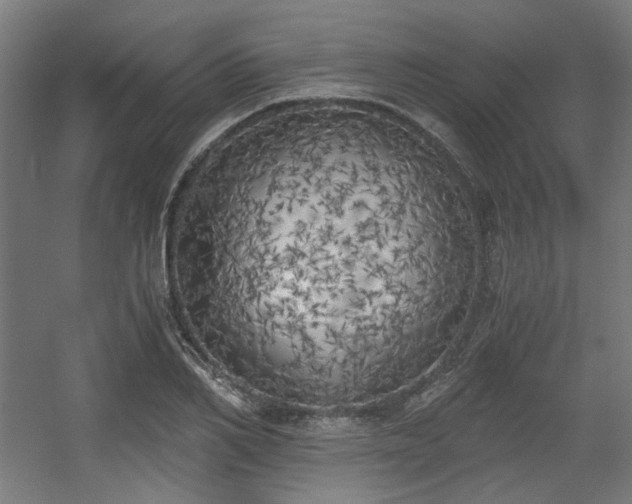 X0000056340982200508291311