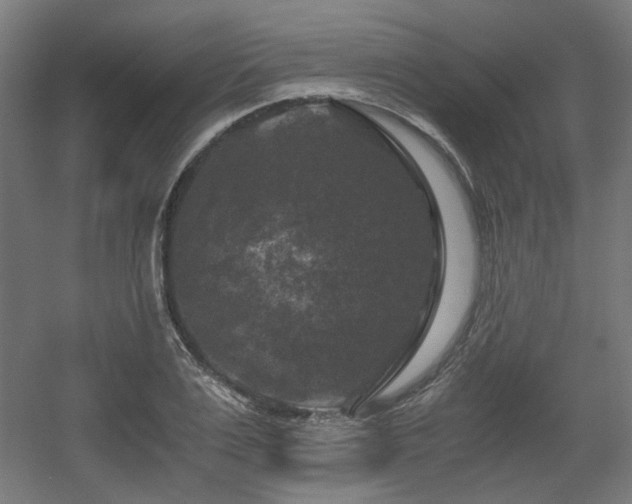 X0000056340983200508291311