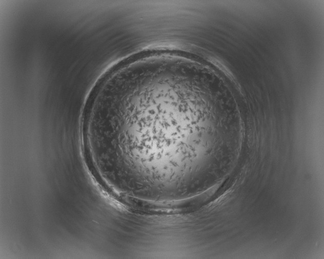 X0000056340984200508291311