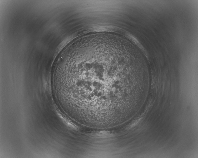 X0000056340986200508291311