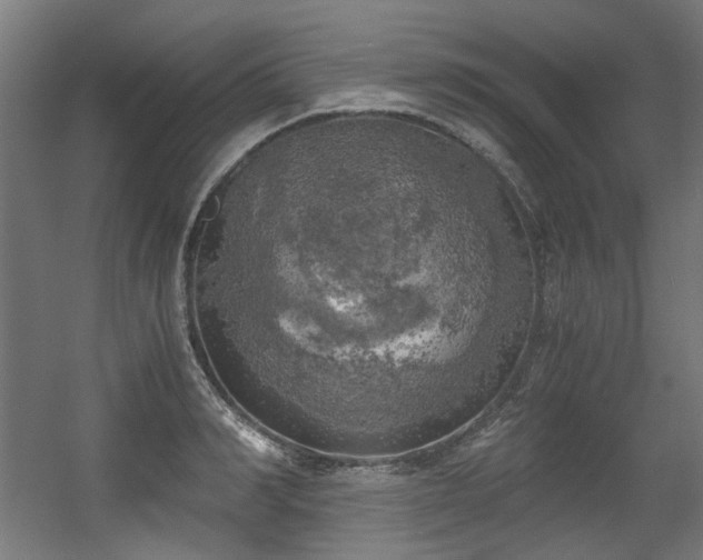 X0000056340990200508291311