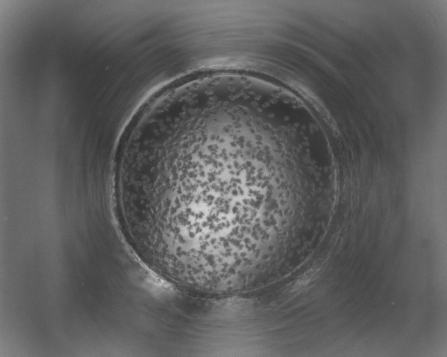 X0000056340992200508291311