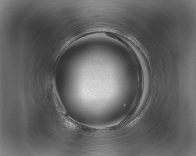 X0000056340993200508291311