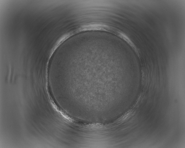 X0000056340994200508291311