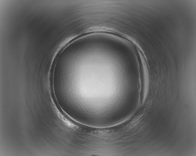 X0000056340995200508291311