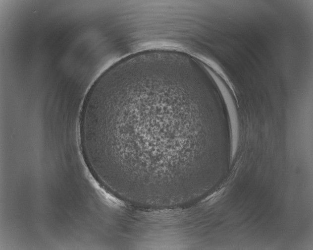 X0000056340999200508291311