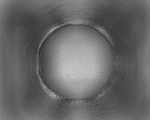 X0000056341000200508291311