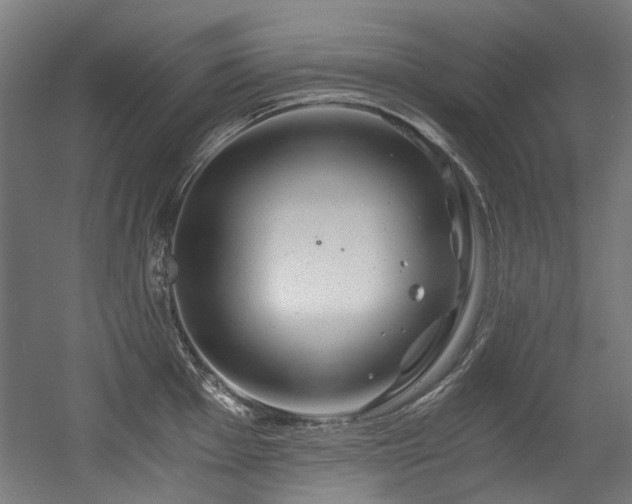 X0000056341001200508291311