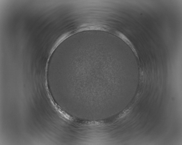 X0000056341002200508291311