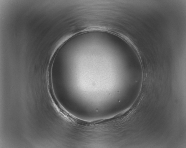 X0000056341003200508291311