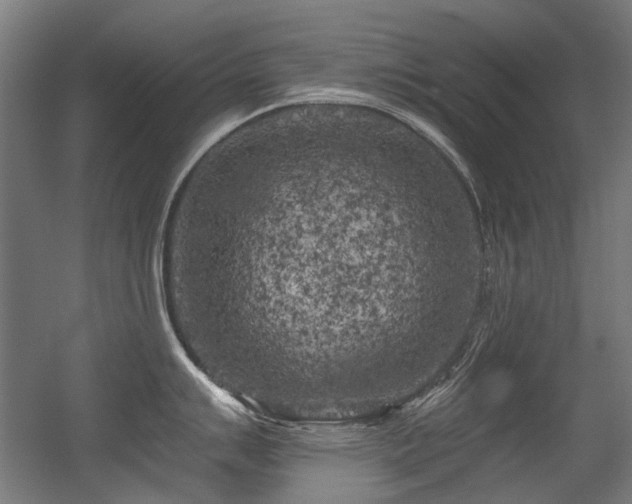 X0000056341007200508291310