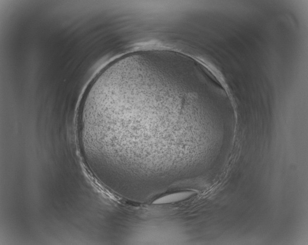 X0000056341008200508291310