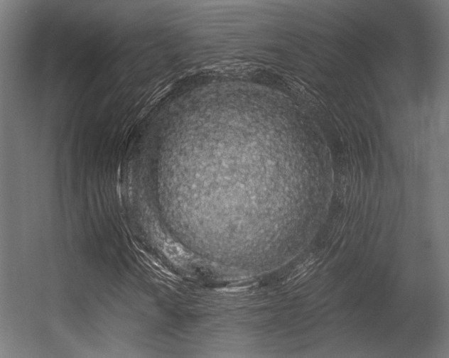 X0000056341010200508291310