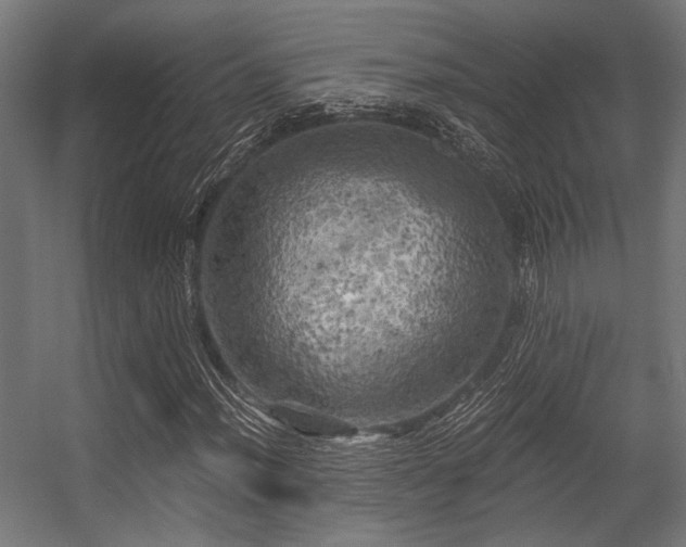 X0000056341012200508291310