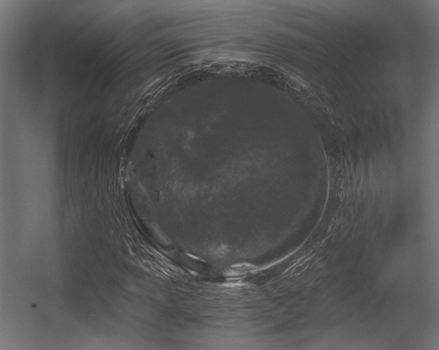 X0000056341013200508291310