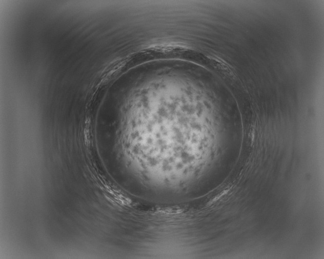 X0000056341014200508291310