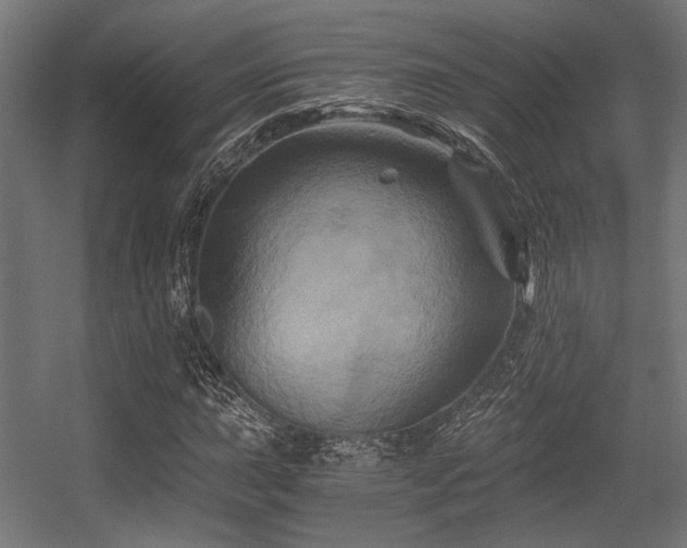 X0000056341015200508291310