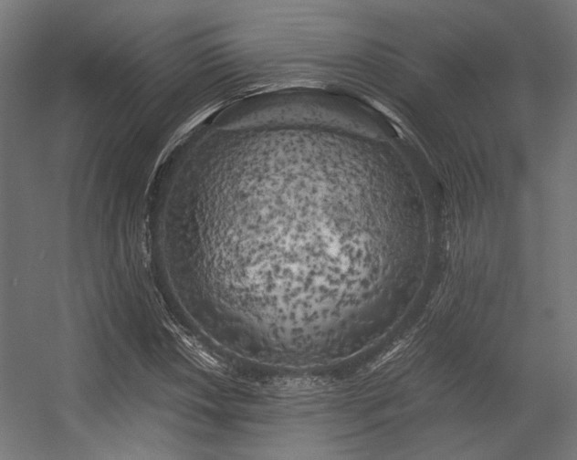 X0000056341018200508291310
