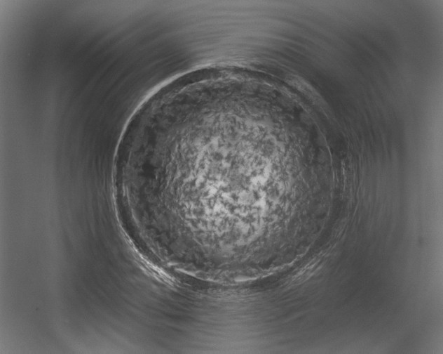 X0000056341020200508291310