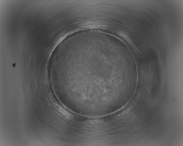 X0000056341023200508291310