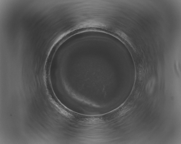 X0000056341024200508291310