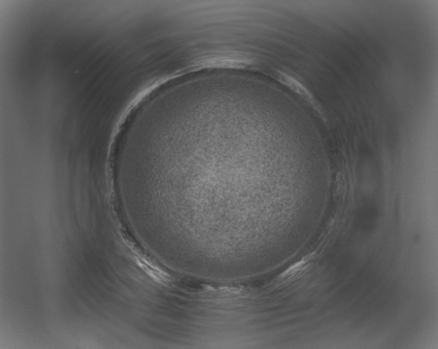 X0000056341027200508291310