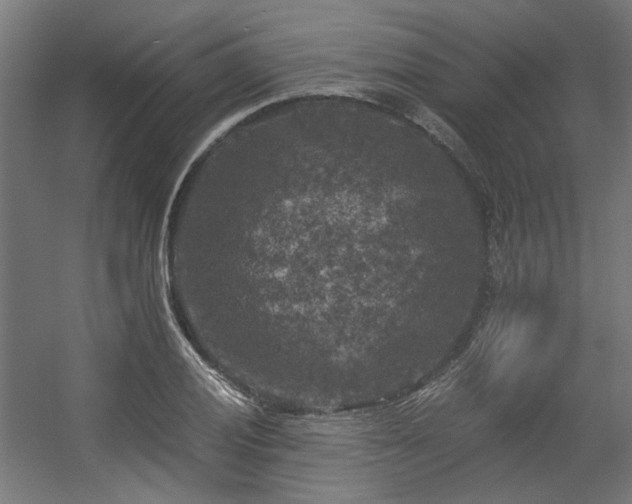 X0000056341028200508291310