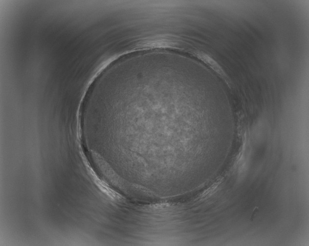 X0000056341031200508291310