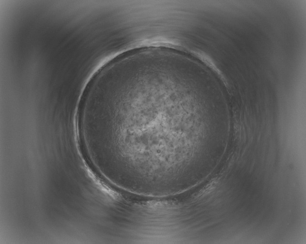 X0000056341032200508291310