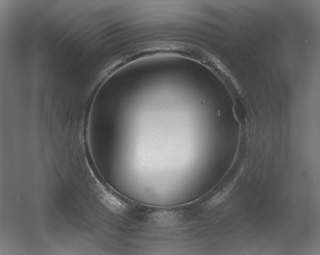 X0000056341033200508291310