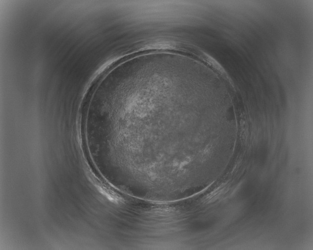 X0000056341035200508291310