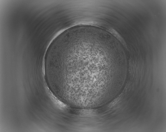 X0000056341036200508291310