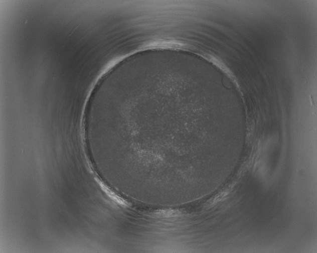 X0000056341037200508291310