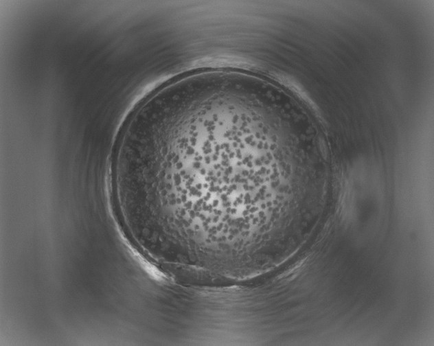 X0000056341040200508291310