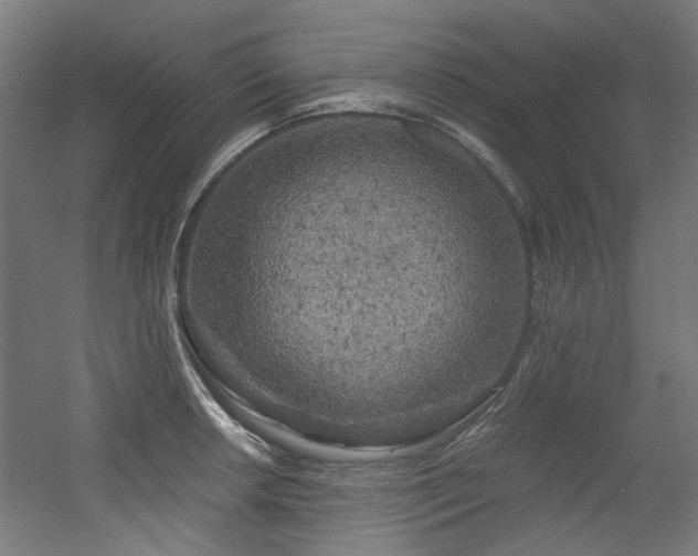 X0000056341042200508291310