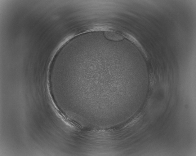 X0000056341043200508291310