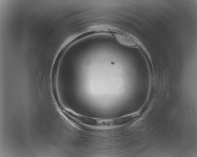 X0000056341045200508291310