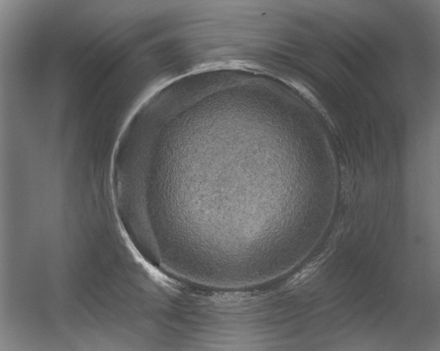 X0000056341046200508291310