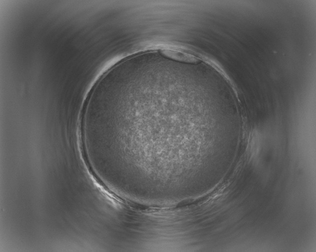 X0000056341048200508291310