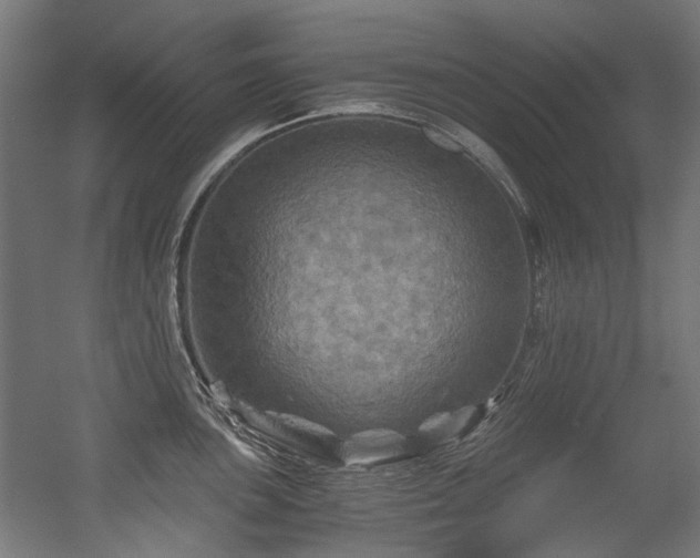 X0000056341051200508291310