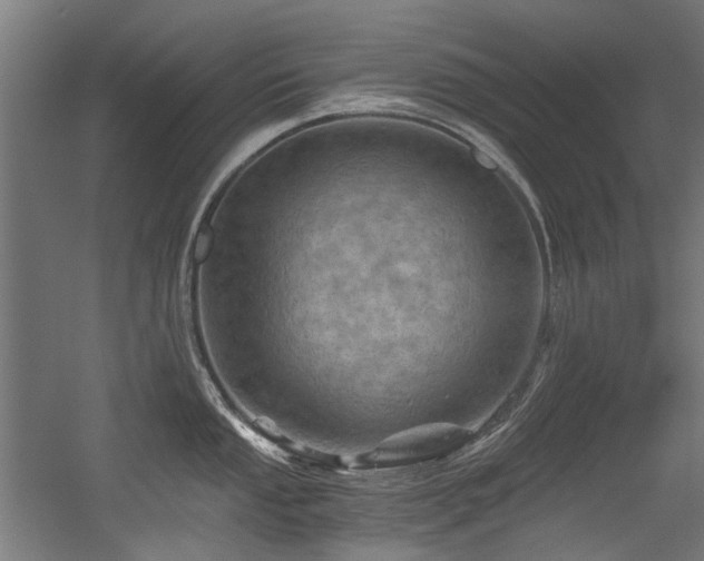 X0000056341053200508291310