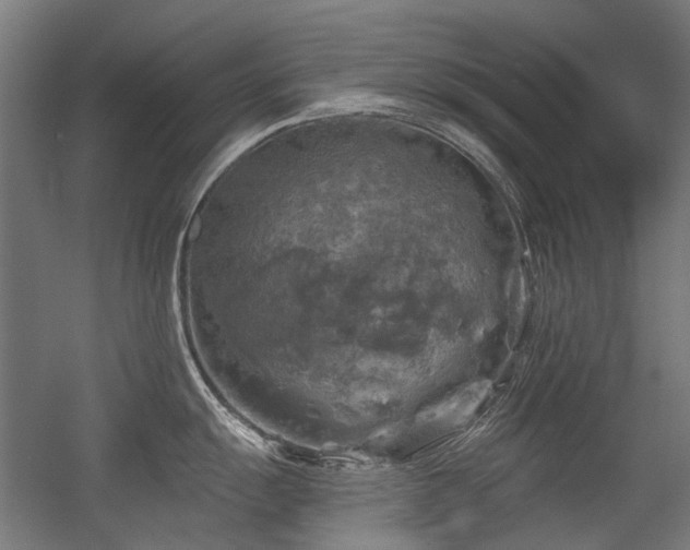 X0000056341055200508291310